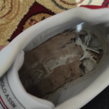 U.S. Polo Assn. Ayakkabı Deforme Olması