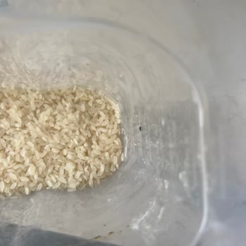 Carrefour SA Marka Pirinç İçinden Hububat Böceği Çıktı!