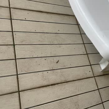 Hedef Beyt Hotel Amacı Sadece Kor Olan Bir İşletme