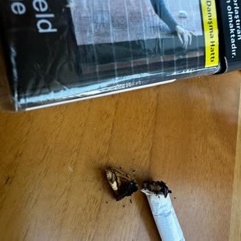 Philip Morris Sigaradan Odun Çıkıyor