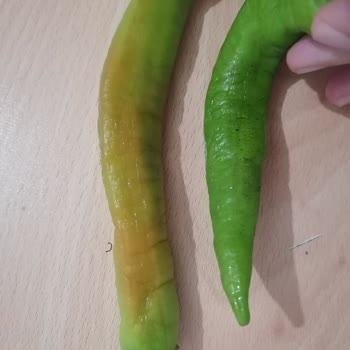 Kim Market Çürük Ürün Satıyor