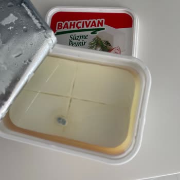 Bahçıvan A101 Den Aldığım Küflü Peynir