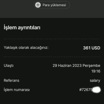 Wise Hesabıma Gelen Parayı Çekmeme İzin Vermiyor