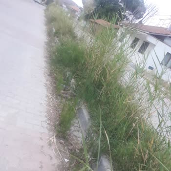 İvrindi Belediyesi Çerkez Mahallesinin Caddesi Çok Kotu Halde