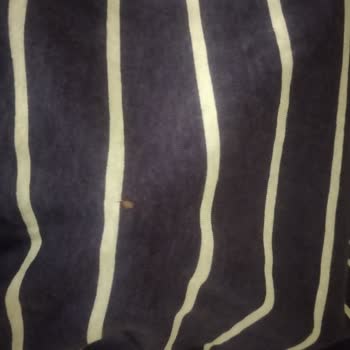 Koton Defolu Ürün Sorunu