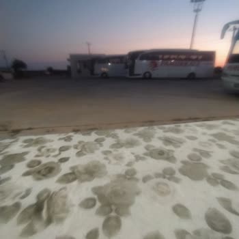 Pamukkale Turizm Geyikli Otogarda Bizi Mağdur Etti