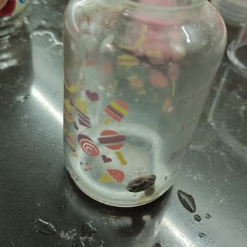 Hipp Toz Mama İçinde Bilinmeyen Hayvanları Buldum