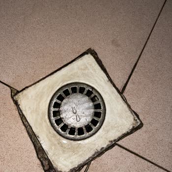 Tatil Sepeti Tatilsepeti Balkan Turu Sıkıntısı