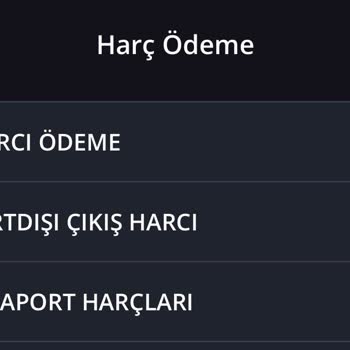 İş Bankası Devlet Ödemeleri Hakkında