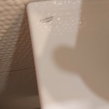 Cerastyle 2. Çatlak Lavabo