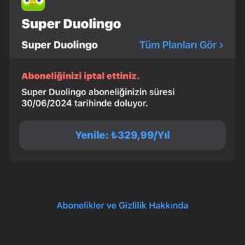 Duolingo İznim Olmadan Para Çekilmesi