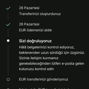 Wise Para Transferi Bekletiliyor.