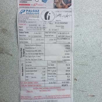 PALGAZ Doğal Gaz Faturası