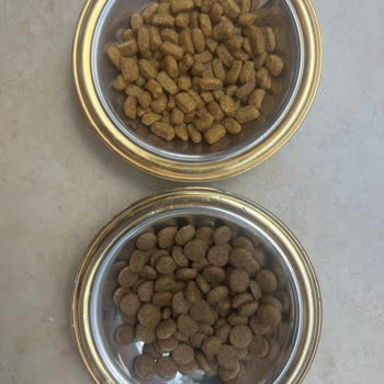 Hepsiburada Sitesinden Alınan Kedi Maması