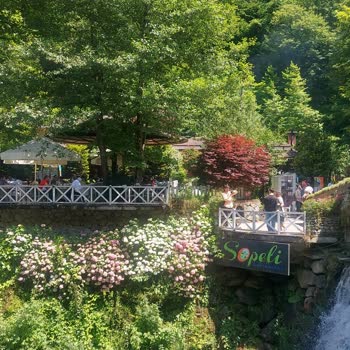 Sopeli Doğal Yaşam Köyü Kahvaltı Mekanında Kötü Hizmet