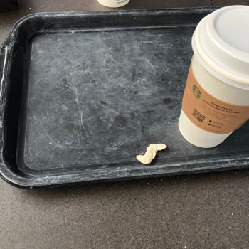 Starbucks Hijyene Önem Verin!