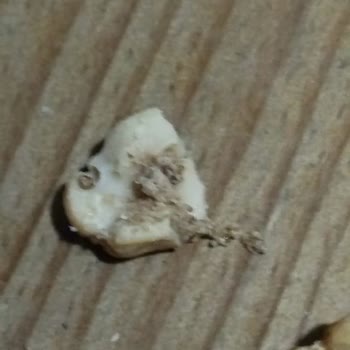 Hepsiburada Bozuk Çerez Satışındaki Duyarsızlık