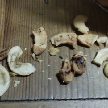 Hepsiburada Bozuk Çerez Satışındaki Duyarsızlık