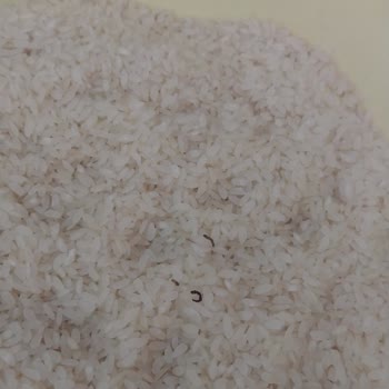 Şok Markette Satılan Anadolu Mutfağı Kurtlu Pirinç.