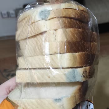 BİM Tost Ekmeği Küf