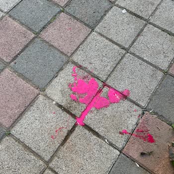 BİM Sancaktepe Yiğit Mağazası