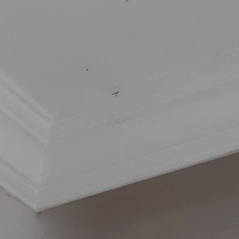 Etstur Görsellerle Alakasız Odalar!