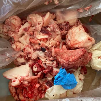 A101'den Kurban Bayramında Aldığımız Kurbanlarla İlgili Sorun