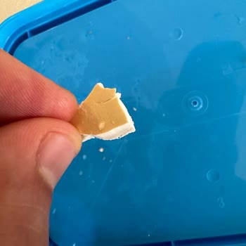 Superfresh Süper Ton Balığı Konservesi İçinde Plastik Parçacıklar