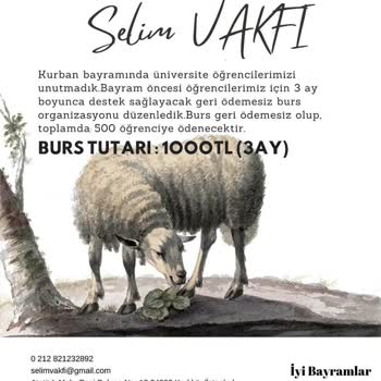 Selim Vakfı Yalan Burs Başvurusu