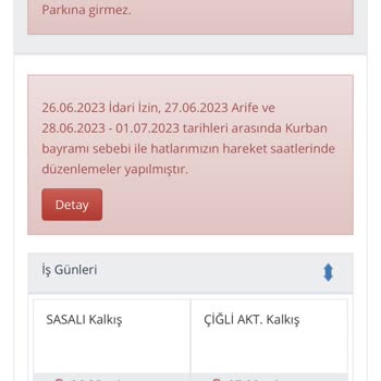 İzmir Büyükşehir Belediyesi'nin Yarım Yamalak İşleri, Sinek, Eshot Vs