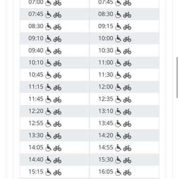 İzmir Büyükşehir Belediyesi'nin Yarım Yamalak İşleri, Sinek, Eshot Vs