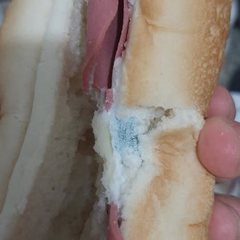 Dardanel Soğuk Sandviç Küflü