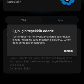 Twitter Abone Sorunu Blue
