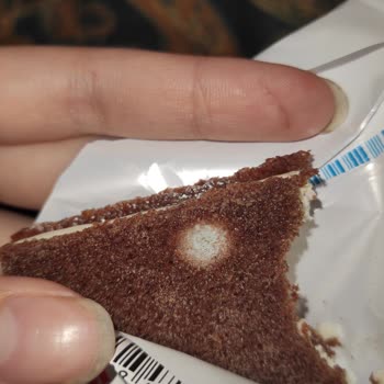 Kinder Pingui Küflü Süt Dilimi