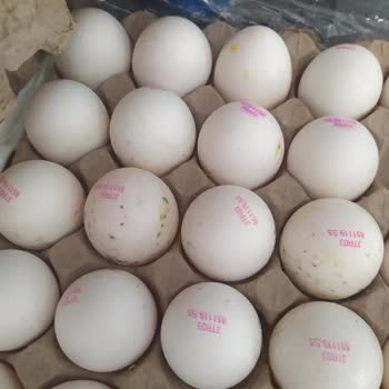 Migros Bozuk Yumurta Satışı