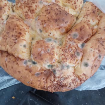 Profilo Buzdolabı Düzgün Şekilde Çalışmıyor