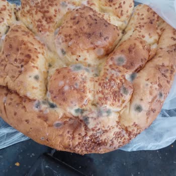 Profilo Buzdolabı Düzgün Şekilde Çalışmıyor