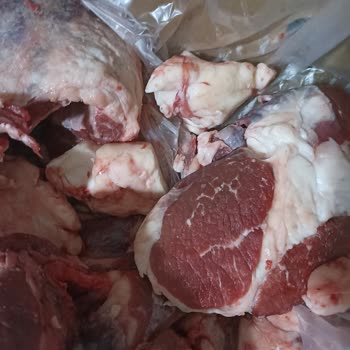 A101 Büyük Baş Kurban Hisse Siparişi