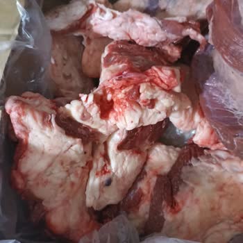 A101 Büyük Baş Kurban Hisse Siparişi