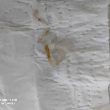 Tarım Kredi Kooperatif Market Kooperatif Marketleri Yer Fıstığı Ezmesi'nin İçinden Cam Çıktı!