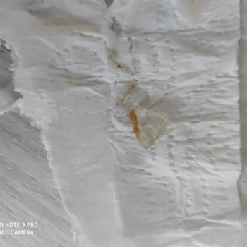 Tarım Kredi Kooperatif Market Kooperatif Marketleri Yer Fıstığı Ezmesi'nin İçinden Cam Çıktı!