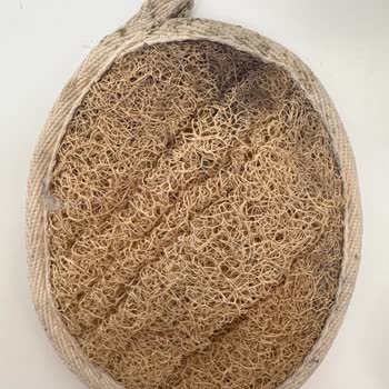 Balmy Naturel Balmy Kabak Kesesi Küf