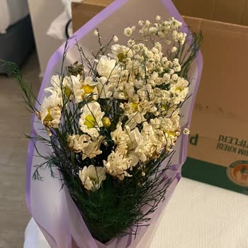 ÇiçekSepeti Paketleme ve Solmuş, Ölmüş Papatyalar