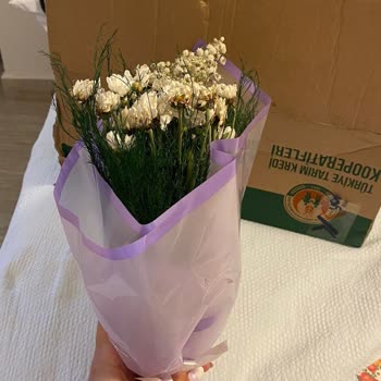 ÇiçekSepeti Paketleme ve Solmuş, Ölmüş Papatyalar