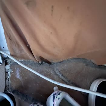 Sapanca Paradise'da Hüsran