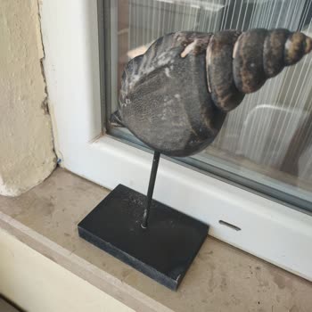 Polisan Vernik Sprey Memnuniyetsizliğim