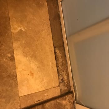 Mio Mare Otel Hiç Memnun Kalmadık