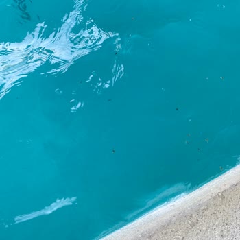 Waterhill Park Güvenliksiz Ve Hijyensiz Bir Su Parkı