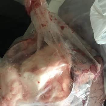 A101 Kurban Hissesi Mağduriyeti