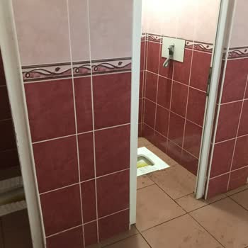 Samsun Büyükşehir Belediyesi Bayraktepe Tabiat Parkı Piknik Alanı Şikayeti